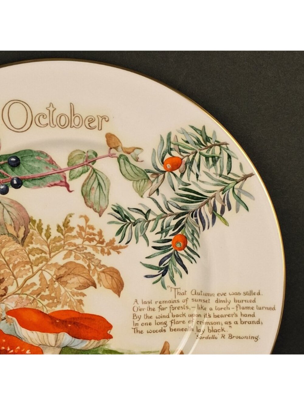 Caverswall Calendar Plates the Country Diary of An Edwardian Lady - Mushroom & - Picture 7 of 11